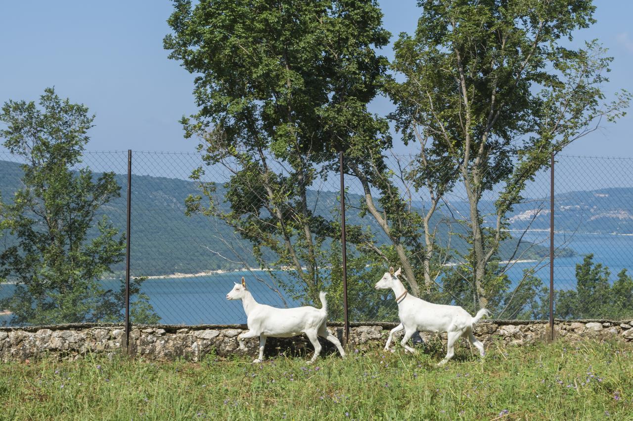 Chambre D'Hotes - Ferme De Chanteraine Aiguines Exteriér fotografie